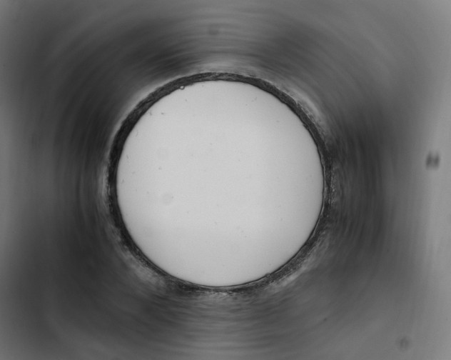 X0000103330880200809261158