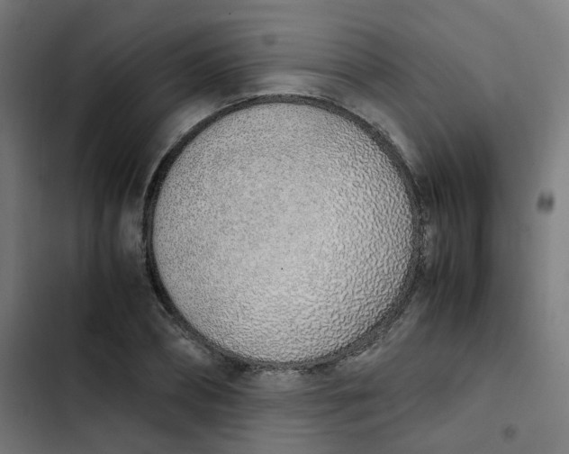 X0000103330882200809261158