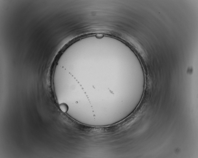 X0000103330883200809261158