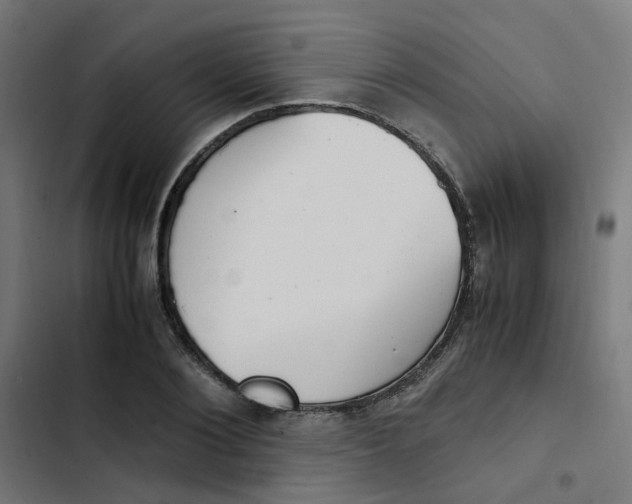 X0000103330884200809261158