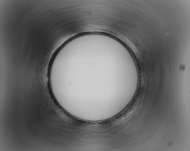 X0000103330885200809261158