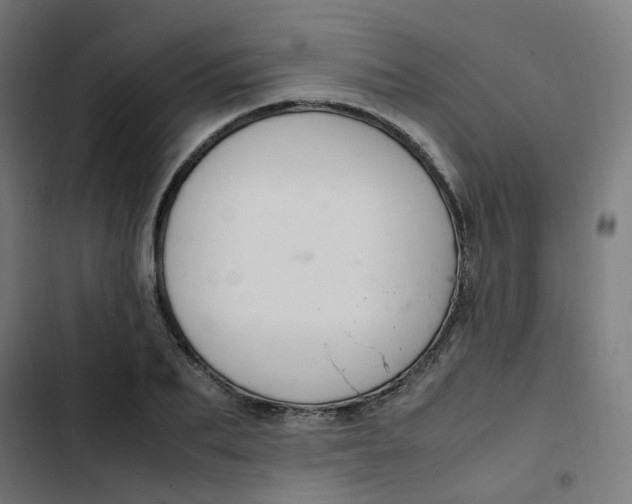 X0000103330887200809261158