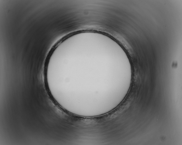 X0000103330888200809261158