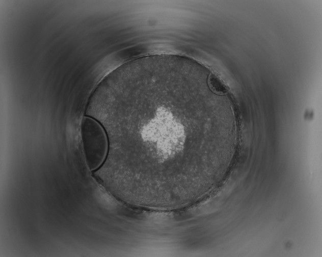 X0000103330889200809261158