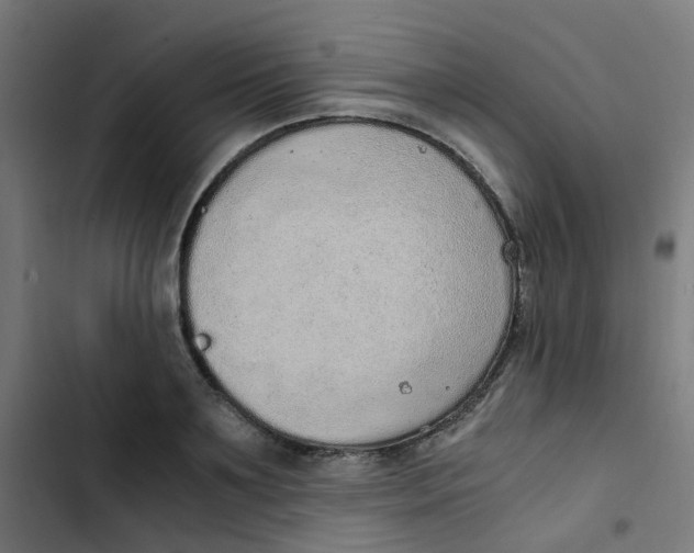 X0000103330891200809261158