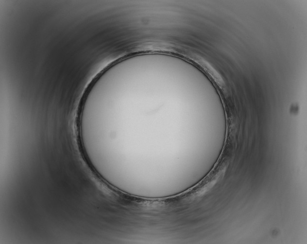 X0000103330893200809261158