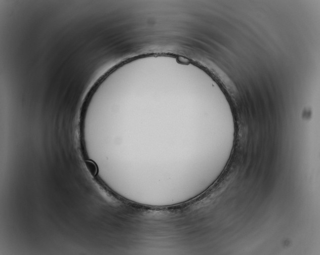 X0000103330894200809261158