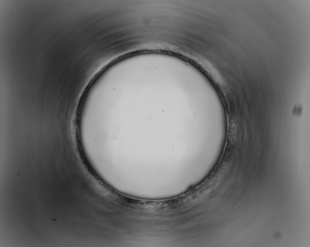 X0000103330895200809261158