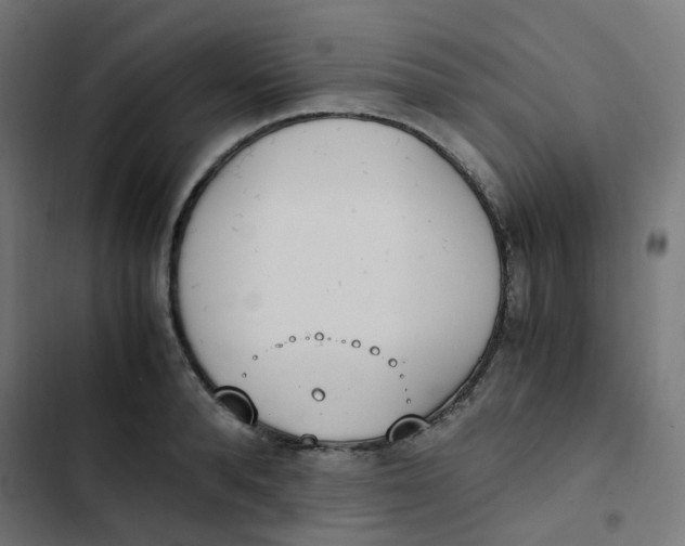 X0000103330896200809261158