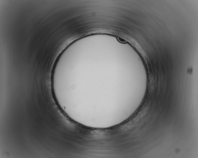 X0000103330898200809261158