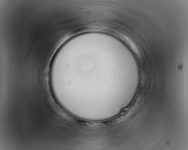 X0000103330899200809261158