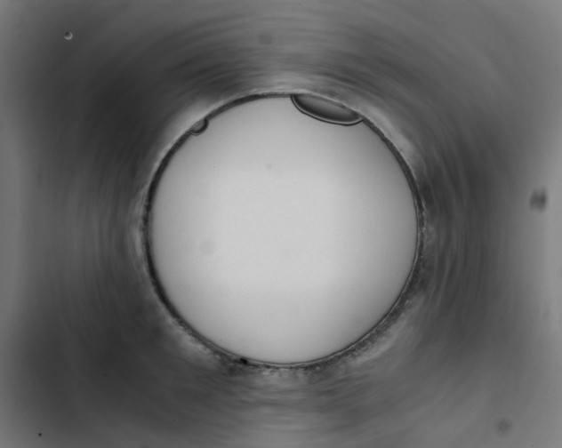 X0000103330901200809261158