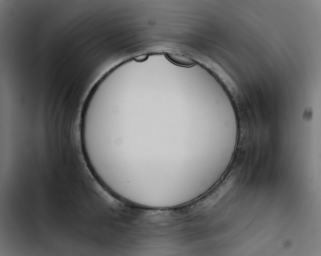 X0000103330902200809261158