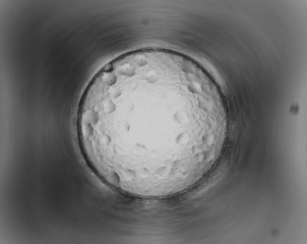 X0000103330903200809261158