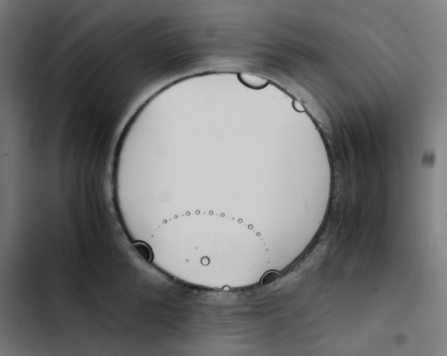 X0000103330904200809261158