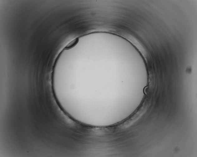 X0000103330906200809261158