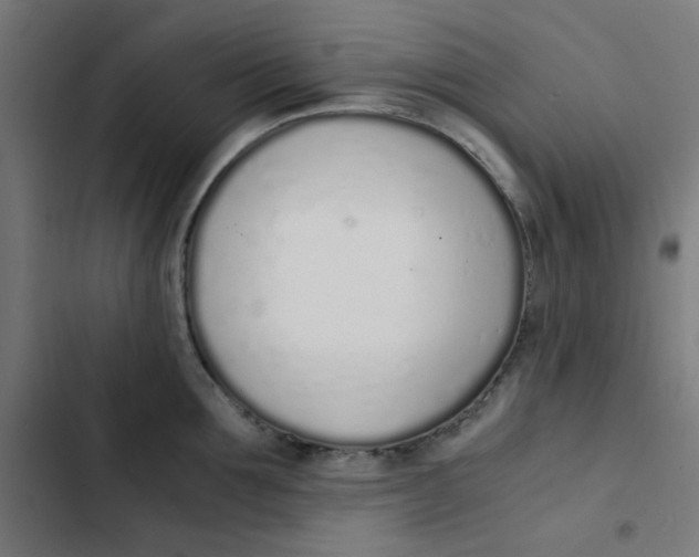 X0000103330907200809261158