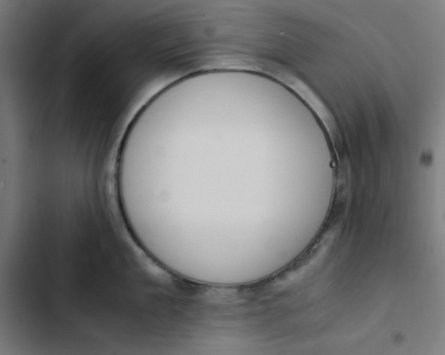 X0000103330909200809261158