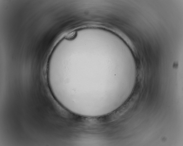 X0000103330911200809261158