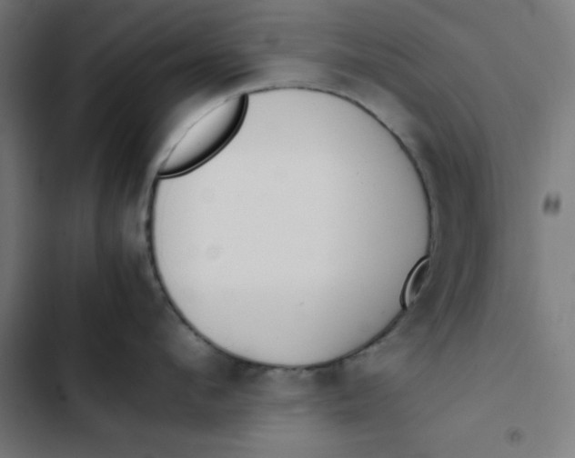 X0000103330912200809261158