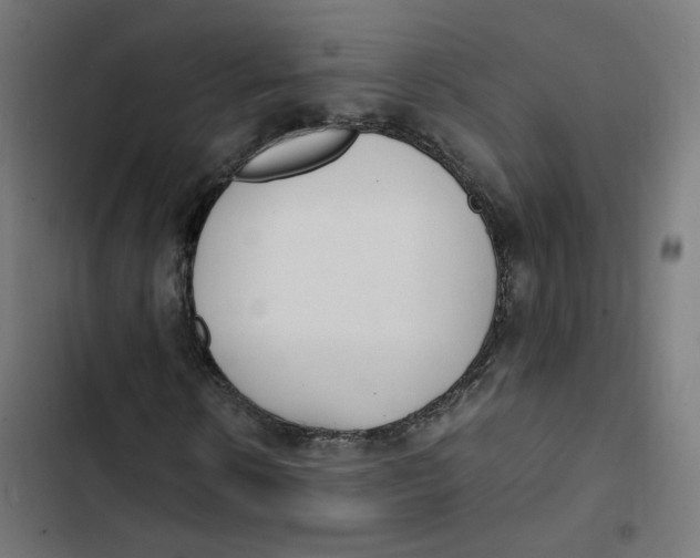 X0000103330914200809261157