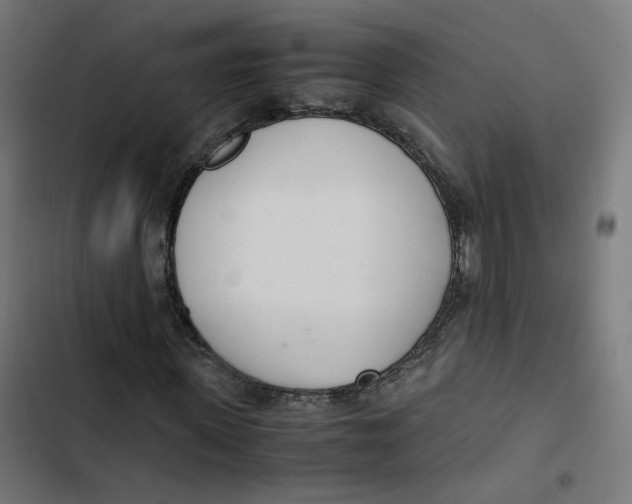 X0000103330915200809261157