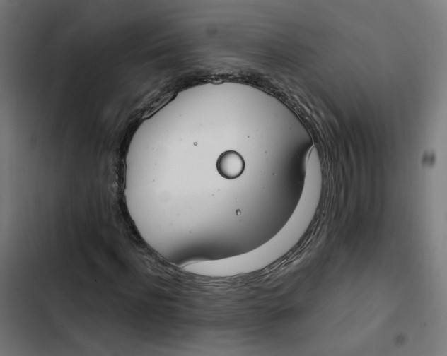 X0000103330916200809261157