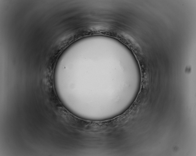 X0000103330917200809261157