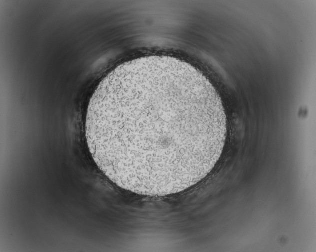 X0000103330918200809261157