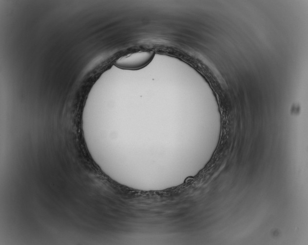 X0000103330919200809261157