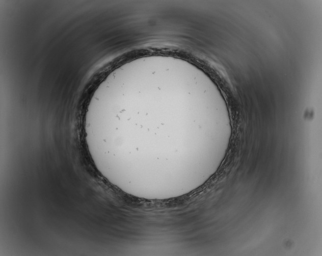 X0000103330920200809261157