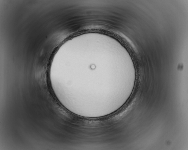 X0000103330921200809261157