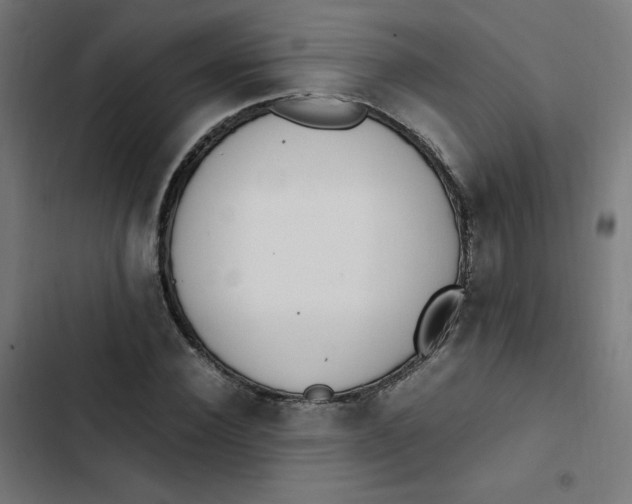 X0000103330924200809261157