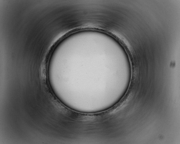 X0000103330925200809261157