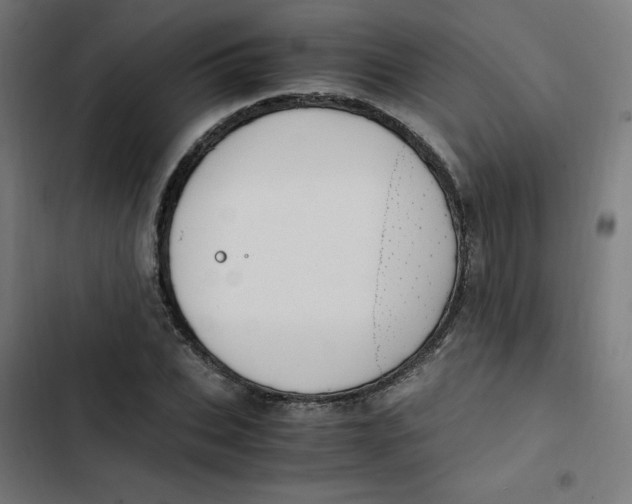 X0000103330927200809261157