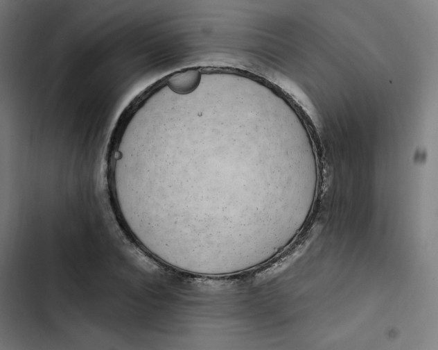 X0000103330928200809261157