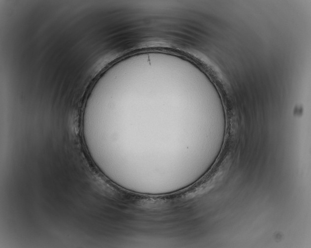 X0000103330929200809261157