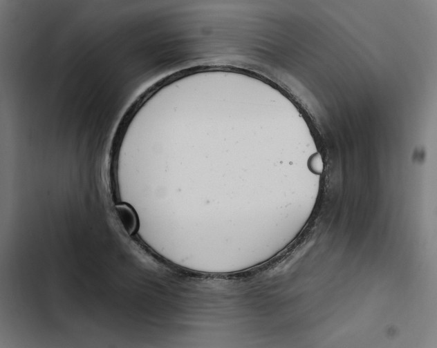 X0000103330932200809261157