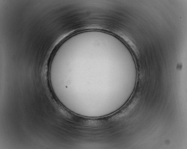 X0000103330933200809261157