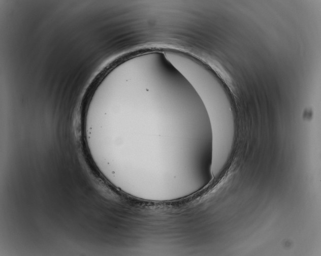 X0000103330934200809261157