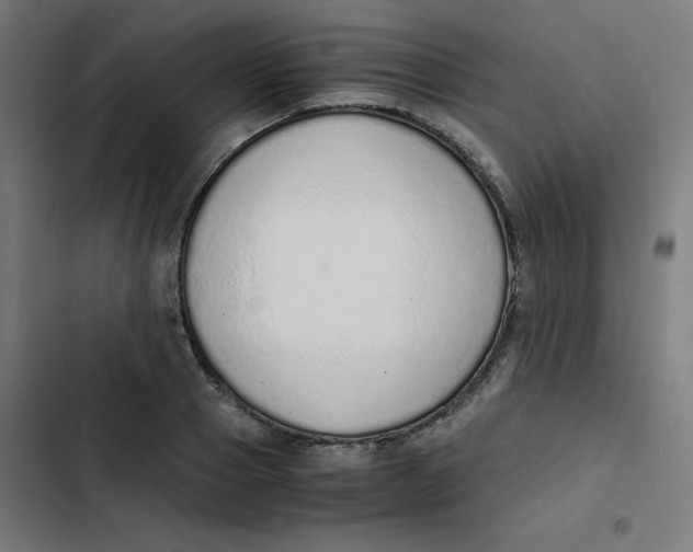 X0000103330937200809261157