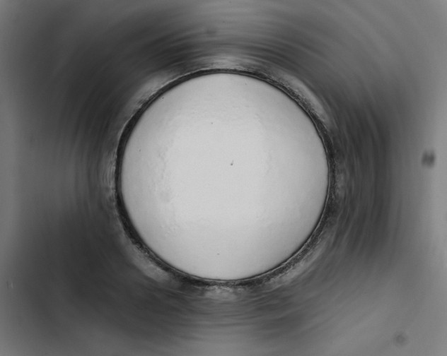 X0000103330938200809261157