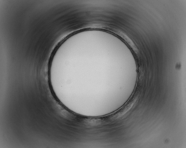 X0000103330939200809261157