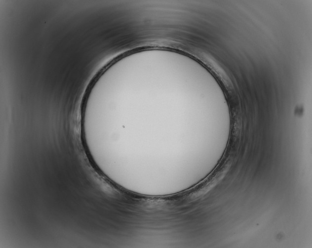 X0000103330940200809261157