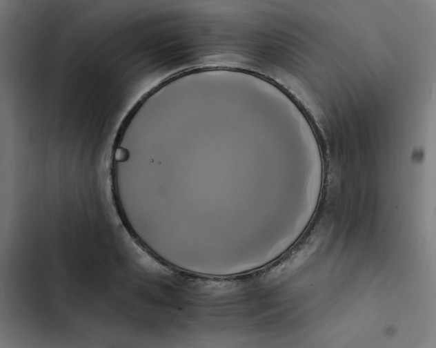 X0000103330941200809261157