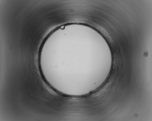 X0000103330942200809261157