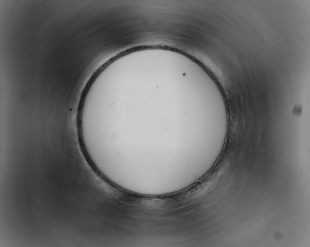 X0000103330943200809261157