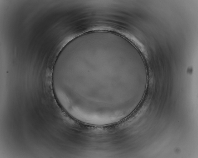 X0000103330945200809261157