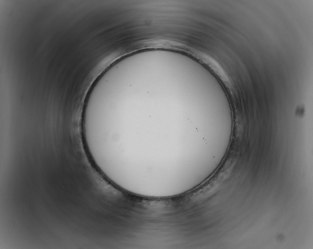 X0000103330946200809261157