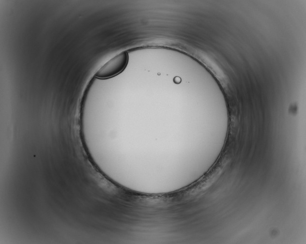 X0000103330948200809261158